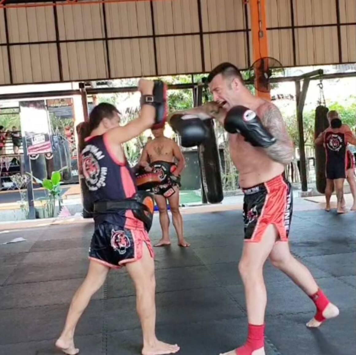Tiger Muay Thai Mma Phuket Fight Gym Weert